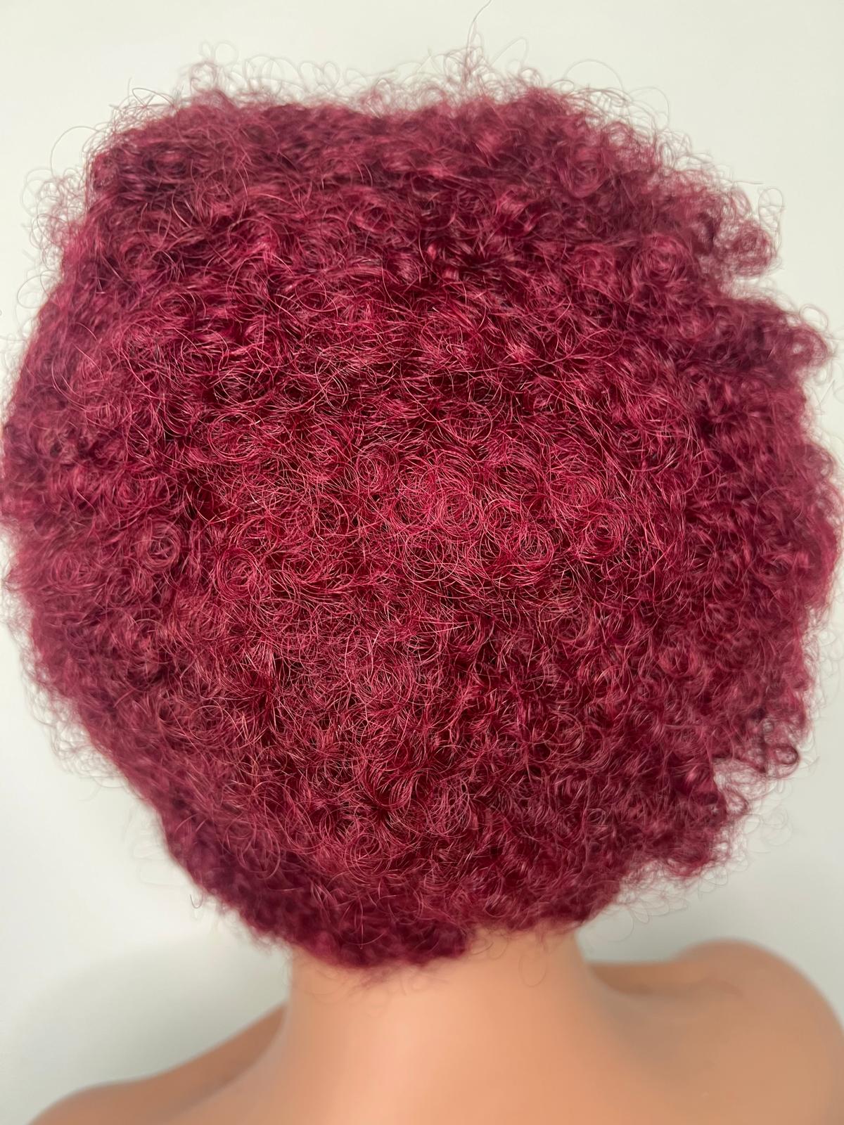 Perruque SASSON CURLY Lace 13x4